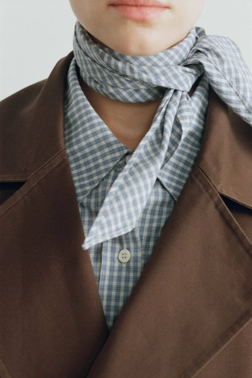 The Devon Scarf - Blue Check