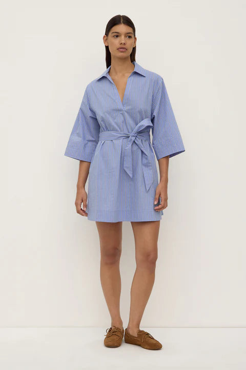 Erina Stripe Mini Shirt Dress