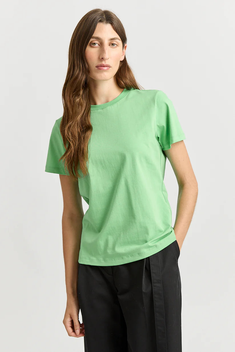 Classic Tee - Agave