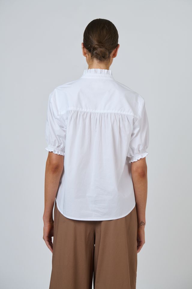 GA648 - Cotton Top